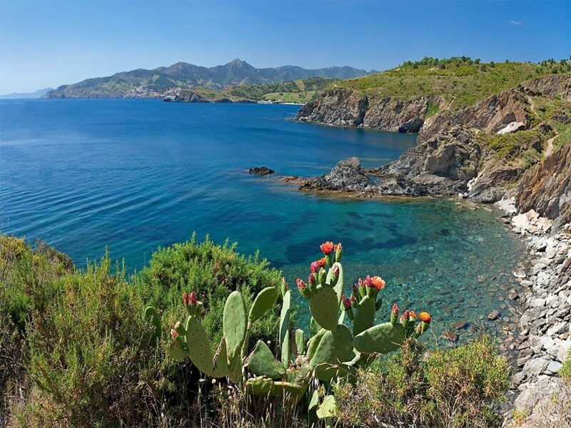 Randonnée Collioure Cadaqués (Cote Vermeille)