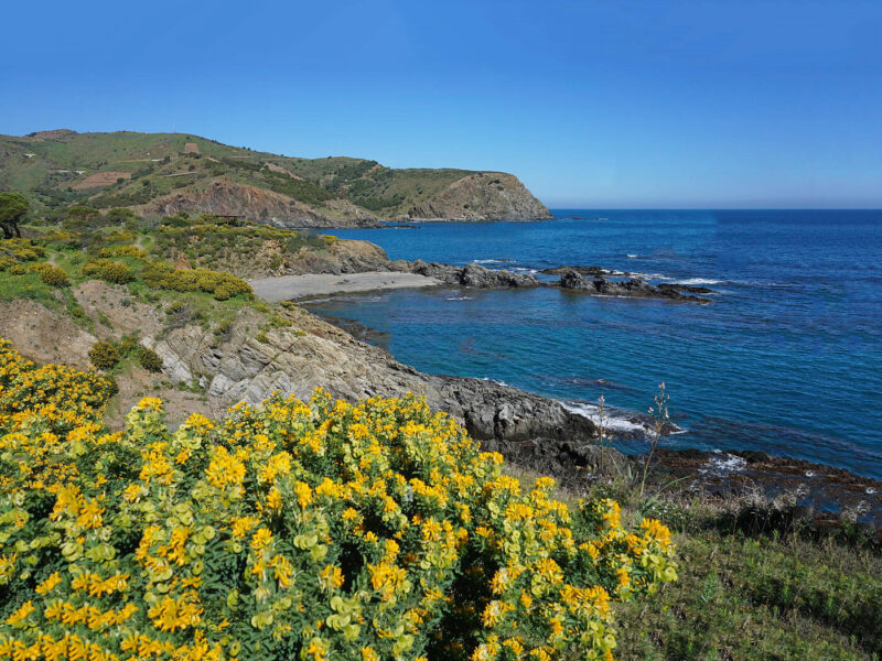 Randonnée Collioure Cadaqués - Cote Vermeille - Cerbère - Anse de Tarrimbou