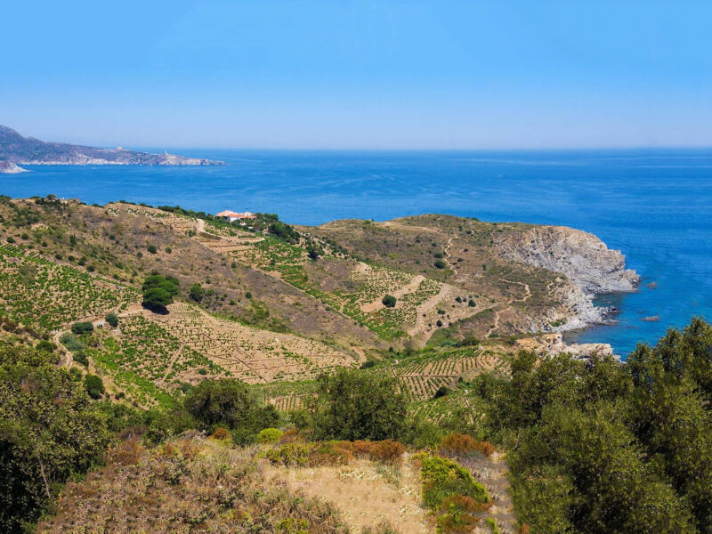 Randonnée Collioure Cadaqués (Cote Vermeille)
